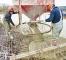 Construction-workers-concrete