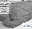 Differences-Between-Ready-Mix-And-Site-Mix-Concrete