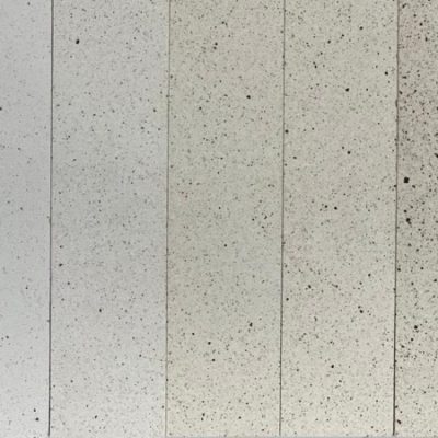 NN152-450×450-1