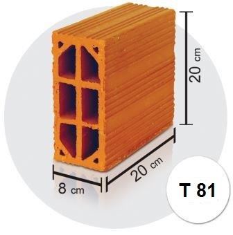 T81-web