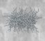 wirefibres