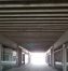 Cat31_Image
