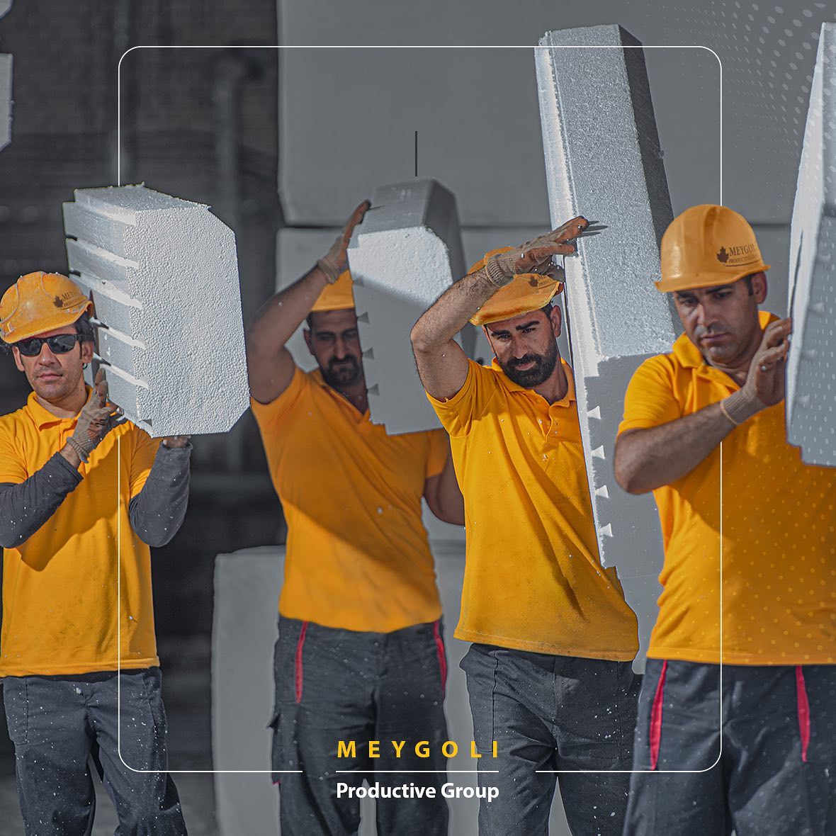 fom-block-meygoli