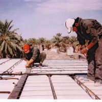 niazit-ceiling-71255665