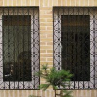 134936_window-guard-ferforje-06