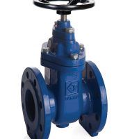 GVO10-16-Gate-ValveO-Ring-F4-