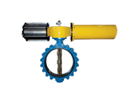 Lug-Type-Pneumatic
