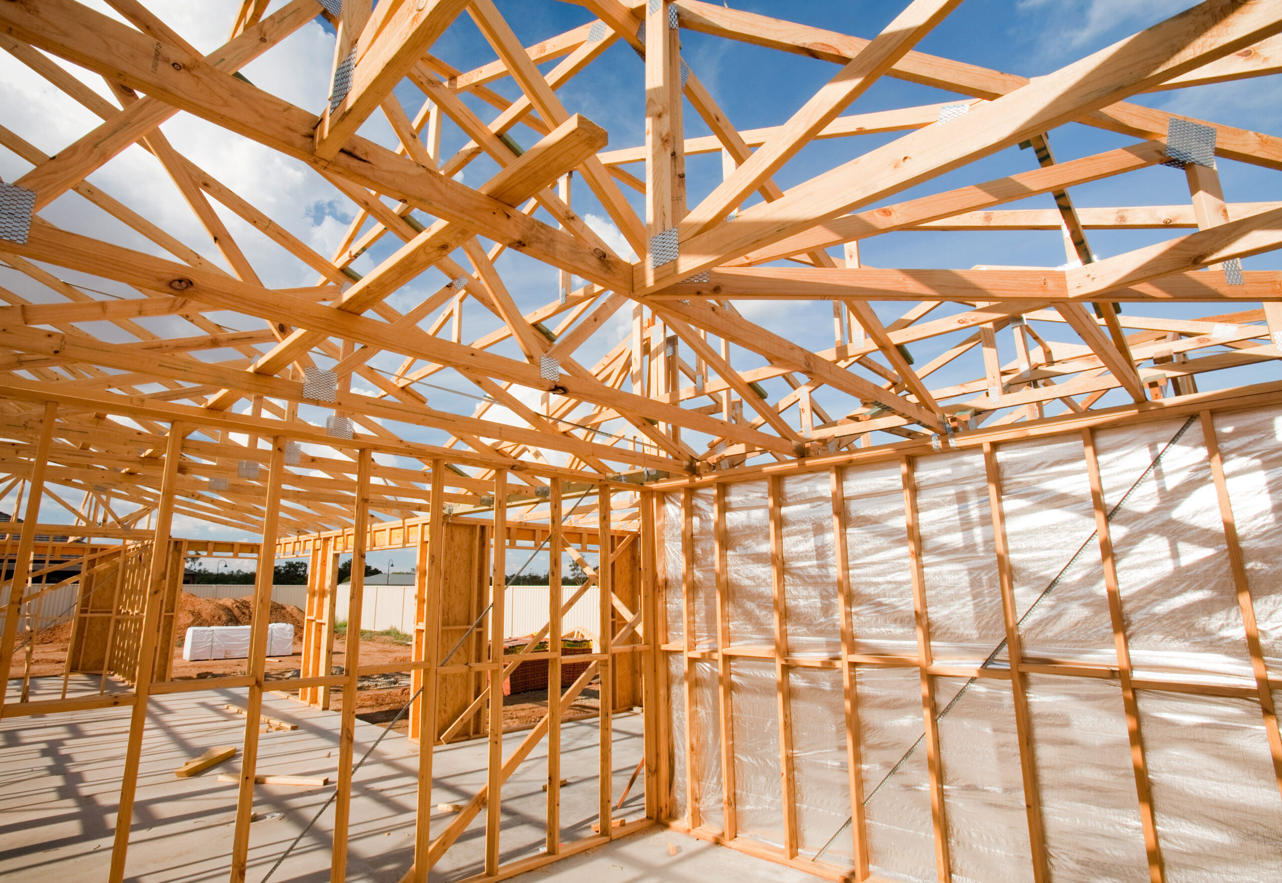 timber_ashley-cooper-getty-scaled-3
