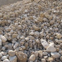 IMG_3990-scaled-210×210-3
