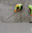 htcf-how-to-concrete-the-floor