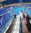 664449_943-11