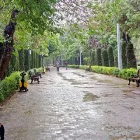 jtLOtQivwAcYmbkG-1525105315931